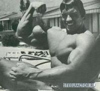 Arnold_Schwarzenegger_905.jpg