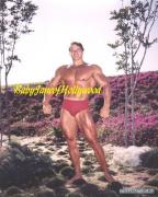 Arnold_Schwarzenegger_960.jpg