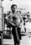 Arnold_Schwarzenegger_970.jpg