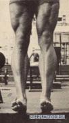 Arnold_Schwarzenegger_981.jpg