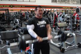 arms201001.jpg