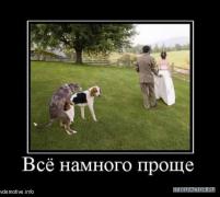 www_vdemotive_info_big402207_vsyo_namnogo_prosche_thumbnail.jpg