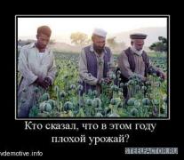 www_vdemotive_info412626_kto_skazal_chto_v_etom_godu_plohoj_urozhaj_thumbnail.jpg