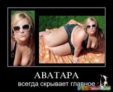 1260866431_ypnwvl1iu7am.jpg