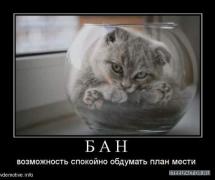 www_vdemotive_info_big472664_b_a_n_thumbnail.jpg