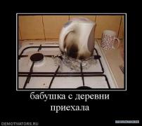 813934_babushka_s_derevni_priehala.jpg