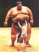 sumo.jpg