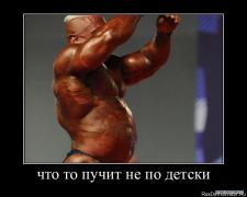 1292952727_3307.jpg
