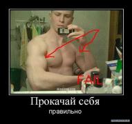 x_b1286acd.jpg