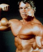 tn2_arnold_schwarzenegger_2.jpg