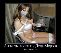 173179_a-chto-tyi-zakazal-u-deda-moroza_demotivators_ru.jpg
