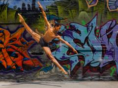 fly_dance_1.jpg