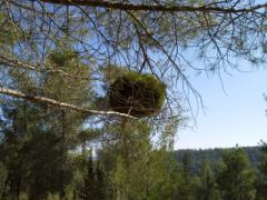 2011-11-26 11.54.05.jpg