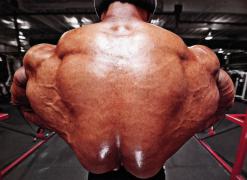 JuanMorel-MD_01-2012-PerBernal-997.jpg
