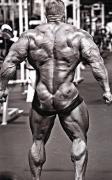 JayCutler-MD_01-2012-PerBernal-982.jpg
