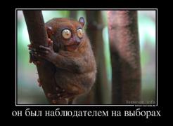 256762_on-byil-nablyudatelem-na-vyiborah.jpg