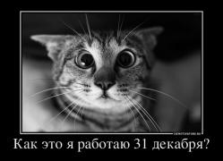 276185_kak-eto-ya-rabotayu-30-dekabrya.jpg