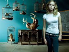 kinopoisk.ru-Emma-Watson-421987--w--800.jpg