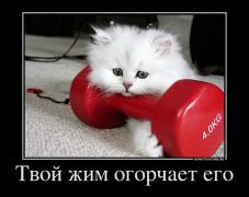 781454_tvoj-zhim-ogopchaet-ego.jpg