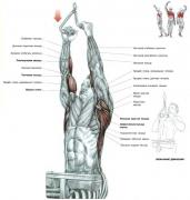 tyaga bloka uzkim hvatom verhnego.jpg