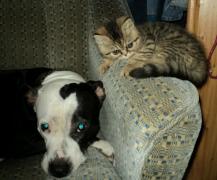 dsc00168-1.jpg