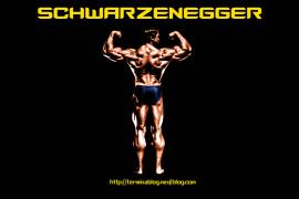 Copie de schwarzenegger_blog.jpg