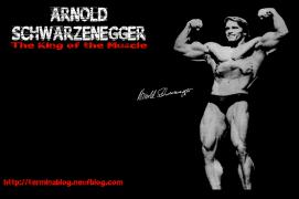 arnoldschwarzenegger5031zn.jpg