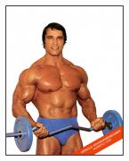 1973asscsbcp copie.jpg