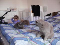 PC080213 - 08.12.2012.JPG