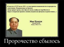633cf19c572e.jpg