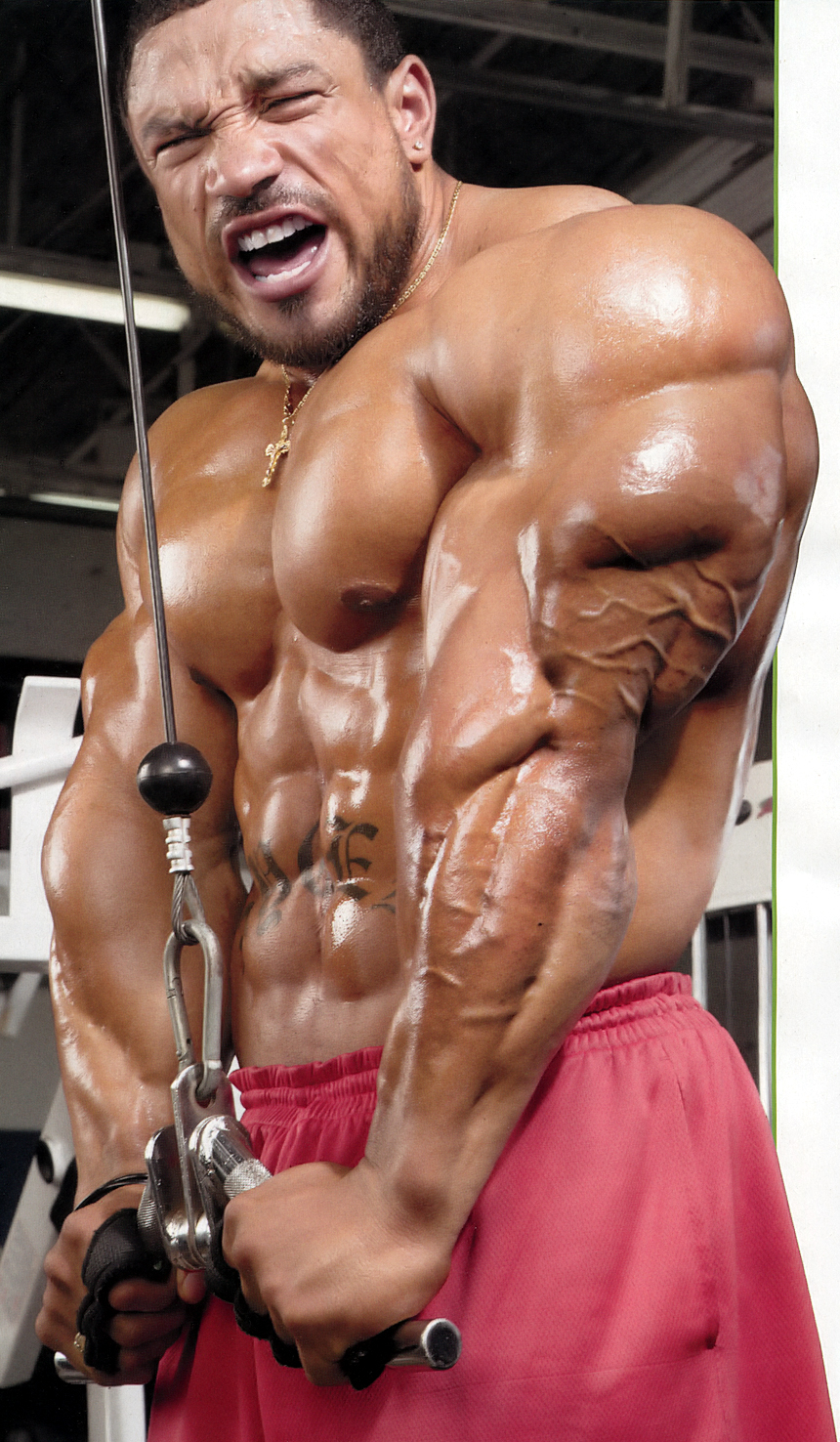 Roelly Winklaar бицепс