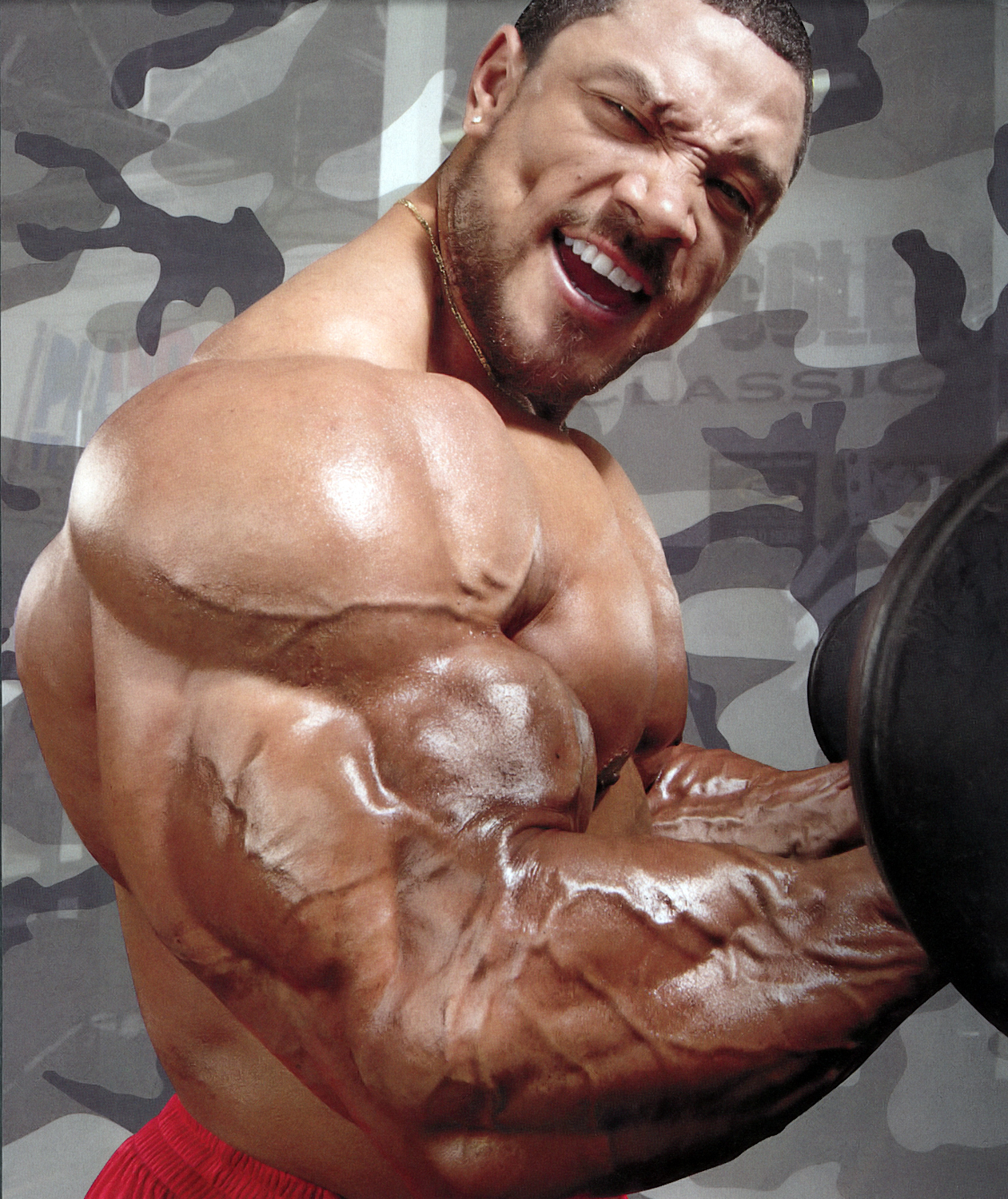 Roelly Winklaar бицепс