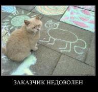 порттрет.jpg