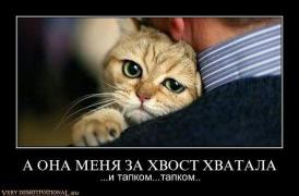 жалоба.jpg