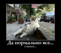 стабильность.jpg