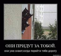 черные.jpg