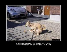 жарить утку.jpg