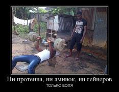 443776_ni-proteina-ni-aminok-ni-gejnerov_demotivators_ru.jpg