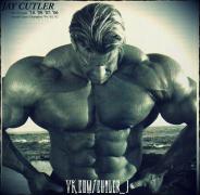 vk jay cutler.jpg