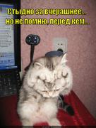 stydno-za-vcherashneye_1335360251.jpg