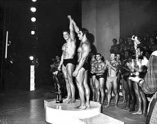 Schwarzenegger 12.jpg