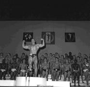 Schwarzenegger 10.jpg