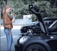 100.gif
