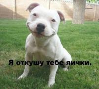 1386527513_15.jpg