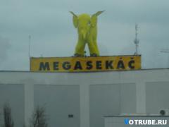 1212727938_11.jpg