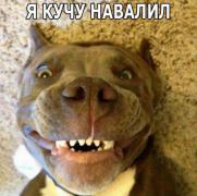 1386527477_3.jpg