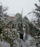 20131212_095938-1.jpg