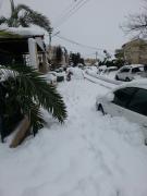 20131214_095833.jpg
