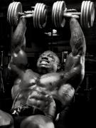 DexterJackson-MM-Nov13-Unk-406.jpg