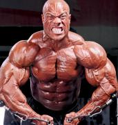 PhilHeath-Flx-Dec13-PavelYthjall-526.jpg